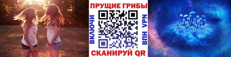 Псилоцибиновые грибы мицелий  Саянск 